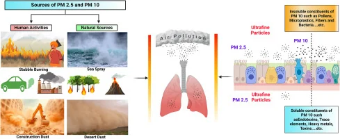 Beyond the Band-Aid: Why India’s Air Pollution Fight Demands Top-Down Honesty and Bottom-Up Action - Graphic Illustration 2
