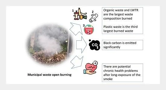 The Invisible Inferno: India’s Rural and Small-Urban Plastic Burning Crisis - Graphic Illustration 1